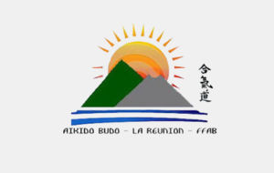 https://aikido-reunion-lrab.fr/